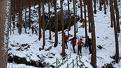 p2140165_thumb.jpg