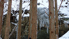 p2140166_thumb.jpg