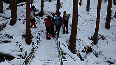 p2140167_thumb.jpg