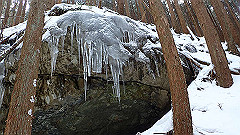 p2140168_thumb.jpg