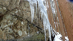 p2140169_thumb.jpg