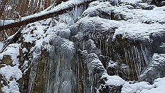 p2140170_thumb.jpg