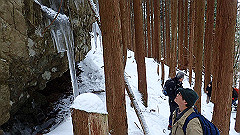 p2140171_thumb.jpg