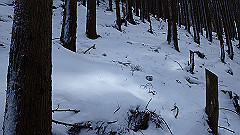 p2140176_thumb.jpg