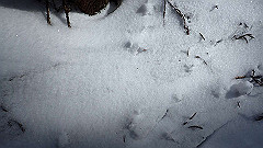 p2140178_thumb.jpg