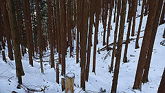 p2140180_thumb.jpg