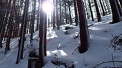 p2140181_thumb.jpg