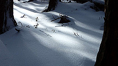 p2140183_thumb.jpg