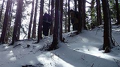 p2140184_thumb.jpg