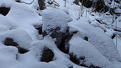 p2140185_thumb.jpg