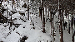 p2140186_thumb.jpg