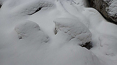 p2140187_thumb.jpg