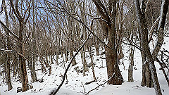 p2140190_thumb.jpg