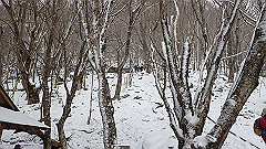 p2140193_thumb.jpg