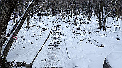 p2140194_thumb.jpg