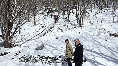 p2140199_thumb.jpg