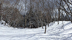 p2140200_thumb.jpg