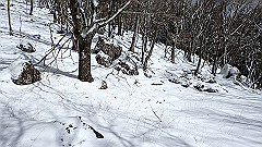 p2140201_thumb.jpg