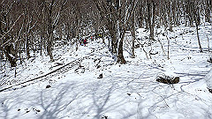 p2140202_thumb.jpg