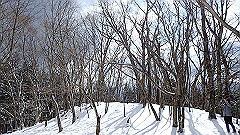 p2140203_thumb.jpg