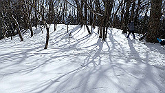 p2140204_thumb.jpg