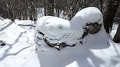 p2140206_thumb.jpg