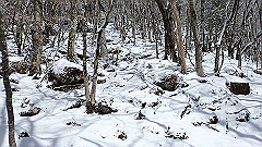 p2140209_thumb.jpg