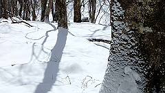p2140210_thumb.jpg