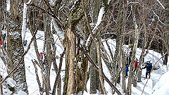 p2140211_thumb.jpg