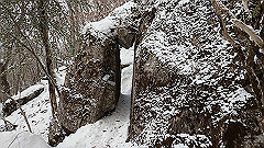 p2140218_thumb.jpg