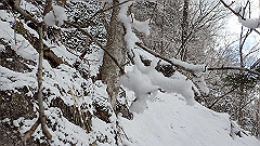 p2140219_thumb.jpg