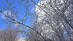 p2140222_thumb.jpg