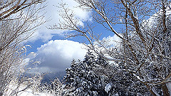 p2140226_thumb.jpg