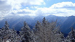p2140230_thumb.jpg