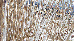 p2140237_thumb.jpg