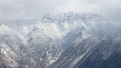 p2140254_thumb.jpg
