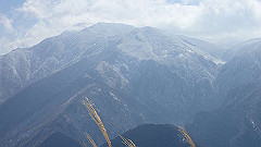 p2140255_thumb.jpg