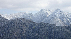 p2140256_thumb.jpg