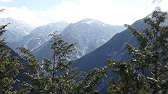 p2140257_thumb.jpg