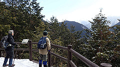 p2140259_thumb.jpg