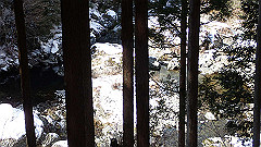 p2140274_thumb.jpg
