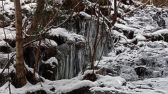 p2140280_thumb.jpg