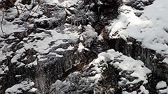 p2140282_thumb.jpg