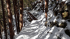 p2140285_thumb.jpg