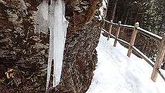p2140286_thumb.jpg