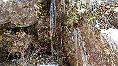 p2140290_thumb.jpg