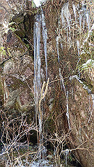 p2140292_thumb.jpg