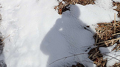 p2140296_thumb.jpg