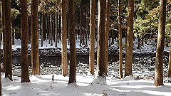 p2140297_thumb.jpg