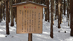 p2140298_thumb.jpg